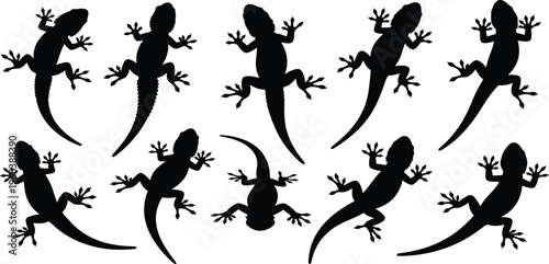 Black, lizard, silhouettes, gecko, vector, icons, reptile, wildlife, nature, set, tropical, animal, clip, art, pet, graphic, element, design, collection, isolated.