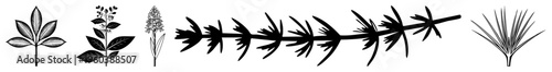 Vectorized plant illustrations featuring leaf and stems, botanical sketches, nature designs, minimalist plant art, black and white, plant vector graphics.