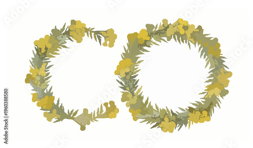 Hand drawn tansy wildflower seamless border with medicinal herb floral wreath vector design