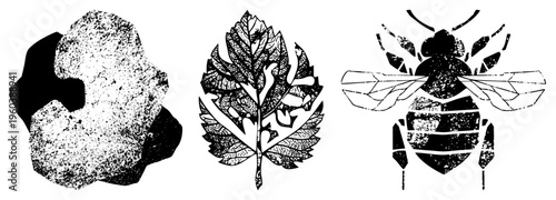 Black and white halftone vector art of a textured rock, detailed leaf, and segmented bee, isolated graphic elements, nature motifs, graphic design assets.