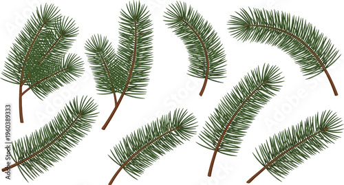 Bild auf Leinwand Green pine tree branch illustrations with needles and stems, showing varied shap