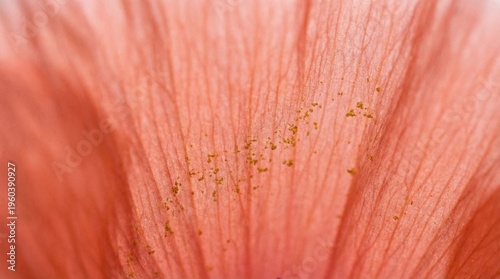 Macro flower petal with delicate veins and pollen, soft focus botanical texture.