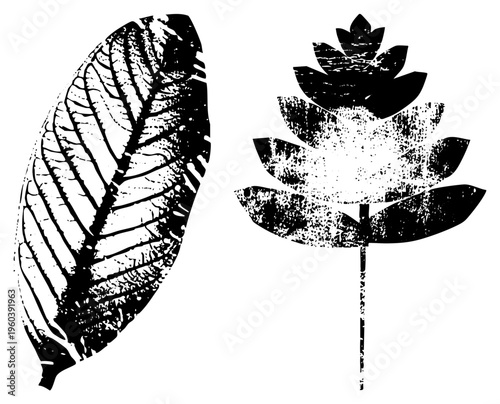 Graphic design featuring leaf and silhouette with distressed texture, vector art, botanical illustration, nature themed design elements.