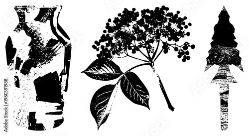 Vector art of three botanical subjects vase, elderberry cluster, and pine tree, rendered in high contrast halftone textures, ideal for graphic design or print.