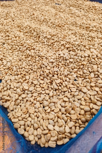Close up of coffee beans drying in the sun