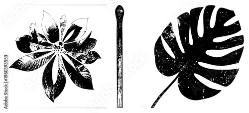 Black and white vector stylized flower, cotton swab, leaf with distressed texture. For design/print/digital. Also botanical cutout, textured silhouette, grunge botanical.