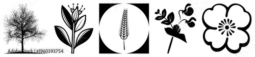 Black and white botanical symbols bare tree, crowned leafy plant, wheat in circle, pea vine, stylized flower. Flat vector illustrations for design use.