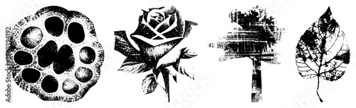 Stylized botanical elements rendered in halftone dot, including seed pod, rose, tree silhouette, and leaf, vector art, graphic design elements, nature motifs.