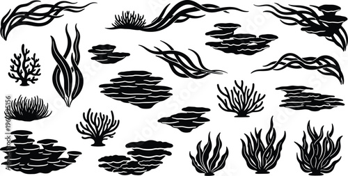 Underwater Seaweed and Coral Reef Silhouette Icon Set with Marine Algae Ocean Plants and Seabed Elements Collection for Aquarium Biology Education and Graphic Design Projects