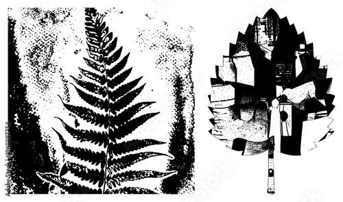 Artistic fern frond and geometric leaf design, halftone texture, graphic illustration, nature inspired vector, botanical silhouette, abstract foliage, design.