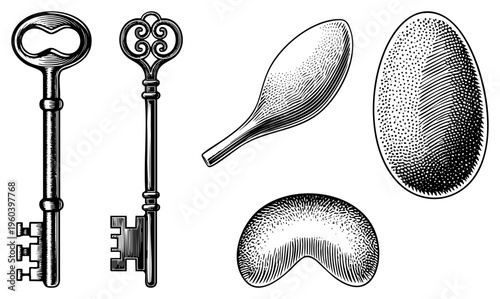 Ornate vintage keys, decorative spoons, engraved vector illustrations, classic engraving style, historical artifacts, black and white art, antique design elements.