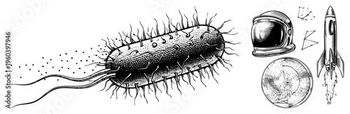 Bacterial cell with flagella and pili, alongside astronaut helmet,, and navigation chart, rendered in vintage scientific illustration style.