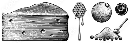 Hand drawn cheese wedge with holes, honey dipper dripping, citrus fruit, blueberries with spoon, classic engraving style, food, rustic design.