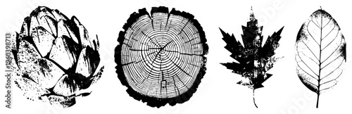 Stylized botanical elements including artichoke, tree section, maple leaf, and leaf vein, rendered in halftone texture. Nature inspired vector graphics for design.