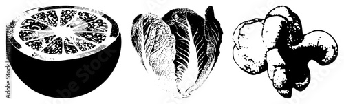 Black and white halftone style depiction of sliced citrus, head lettuce, and ginger root, isolated food graphics for design, culinary, or botanical use.