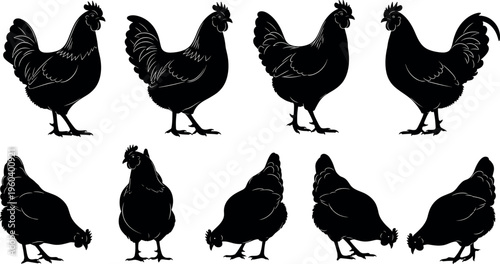  Chicken icons vector illustration with black design, farm animal symbol artwork, poultry concept, agriculture element
