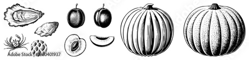 Antique botanical illustrations of seafood and fruit, including oysters, plums, and pumpkins, rendered in detailed art with shading, ideal for vintage design projects.