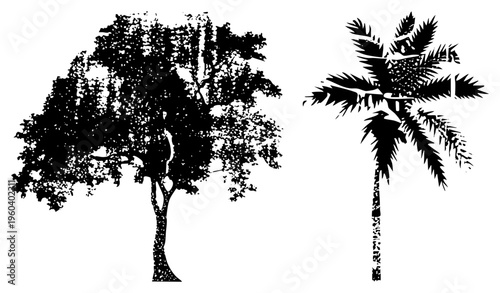 Black silhouette of leafy deciduous tree and palm tree, vector graphic, nature illustration, tropical and temperate tree, isolated foreground elements.