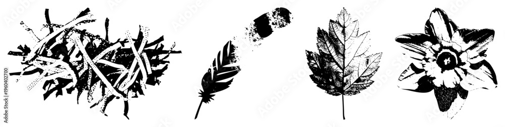 Obraz premium Black and white vector illustrations of natural objects bird nest, feather, maple leaf, daffodil flower, rendered in halftone dot, graphic design elements, nature motifs.