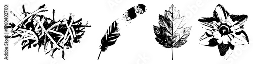 Black and white vector illustrations of natural objects bird nest, feather, maple leaf, daffodil flower, rendered in halftone dot, graphic design elements, nature motifs.