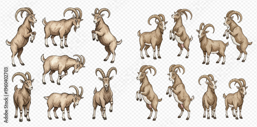 Set of mountain goats in various poses, including standing, rearing up, and grazing, isolated on a transparent background.