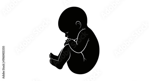 Minimalist black silhouette illustration of a fetus or newborn baby in a curled position, symbolizing new life, human development, and prenatal care
