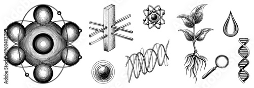 Vector showing atoms, DNA strands, plant growth, and lab tools, used in biology, chemistry, and education, engraving style.