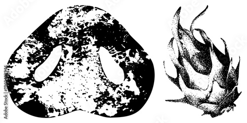 Graphic design featuring textured organic forms and halftone dragon fruit cutout, vector art,, stylized fruit, abstract, isolated elements.