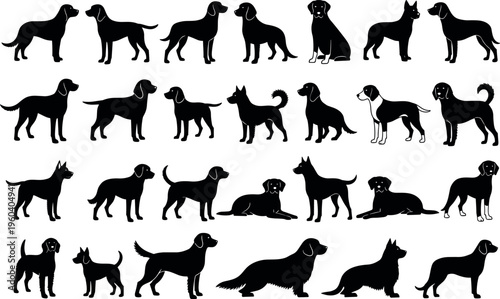 Vector illustration of diverse dog silhouettes, multiple breeds and poses, standing, sitting, lying down, playful pets, modern artwork design