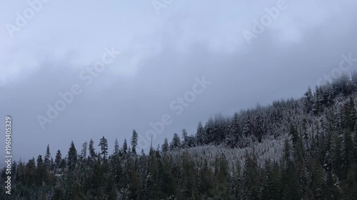 Winter Wonderland: Snowy Forest Landscape on a Cloudy Day in British Columbia, Canada