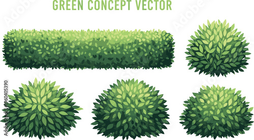 Green hedge and bush set vector illustration isolated on white background natural foliage plant garden landscaping elements botanical clipart