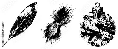 Black and white vector designs of natural elements elongated leaf with veins, feather bundle, and circular wreath of foliage. Ideal for eco themed graphics, print, or digital art.