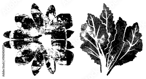 Black and white bloom and leaf cluster rendered in halftone dot, graphic design elements, vector art, botanical illustration, stylized nature motifs.