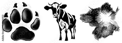 Graphic set featuring cow silhouette, paw print, and explosive burst in halftone style, vector art, isolated elements, design.