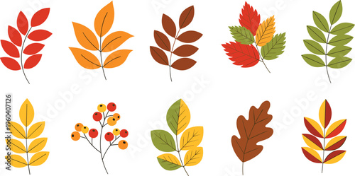 Autumn botanical leaves collection, colorful foliage, seasonal plants, fall nature illustration, vibrant vector art for design, decoration, and creative projects
