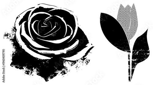 graphic with rose and tulip, stencil art style, vector silhouette, distressed texture, botanical illustration.