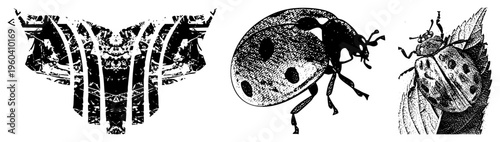 Three black and white vector illustrations abstract mirrored, ladybug in dot matrix, ladybug on leaf. Artistic graphic design, isolated elements, halftone texture, glyph style.
