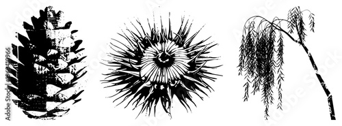Nature inspired vector featuring pinecone scales, burdock spiky seed head, and willow drooping branches, rendered in high contrast halftone style with gritty texture.