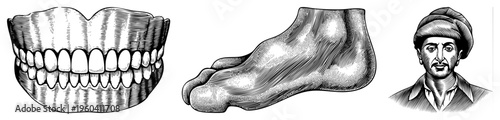 Detailed halftone illustrations of denture, foot sole, and man’s portrait, engraved, vintage medical and study, isolated vector graphics.
