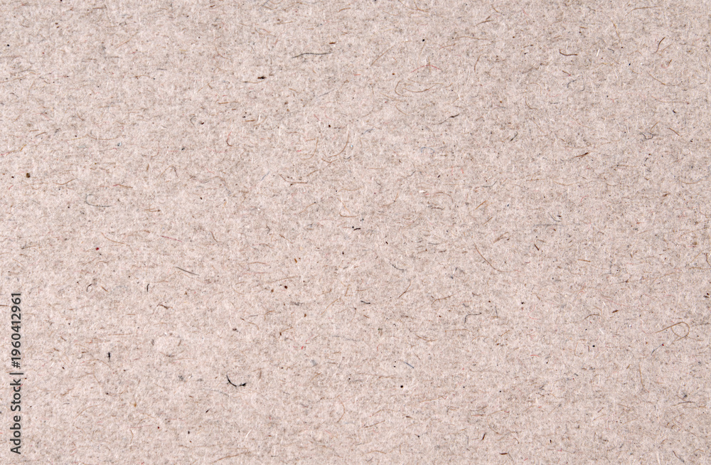 Fototapeta premium Off white recycled paper texture background with natural fiber and grainy detail