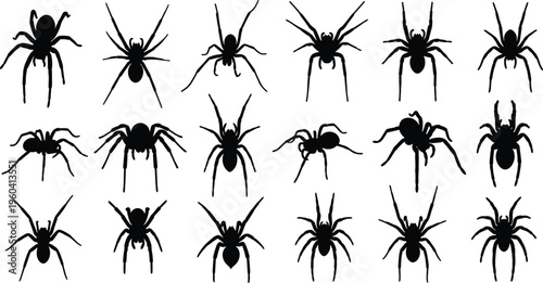 Spider silhouettes in varied postures, leg positions, body shapes, arachnid diversity, artistic arachnology illustration inspiration