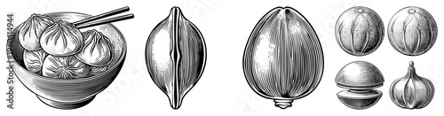 Antique engraved dumplings, chopsticks, seeds, garlic, nuts. Classic food illustration, vector, vintage botanical style.
