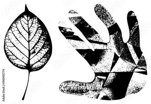 Graphic illustration of open hand and leaf with halftone texture, vector art, design, botanical and gestural motifs, isolated elements.