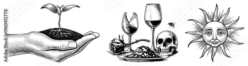 Hand nurturing young plant sprout, root system exposed, earthy soil, botanical growth, nature symbolism, life cycle, organic cultivation.