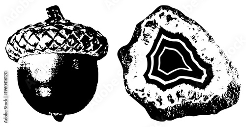 Stylized acorn with cap and agate slice, nature motifs, black and white vector art, botanical and mineral design elements.