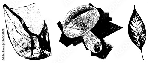Detailed botanical illustrations of leaf, mushroom, and abstract foliage, rendered in high contrast halftone, ideal for graphic design or print.