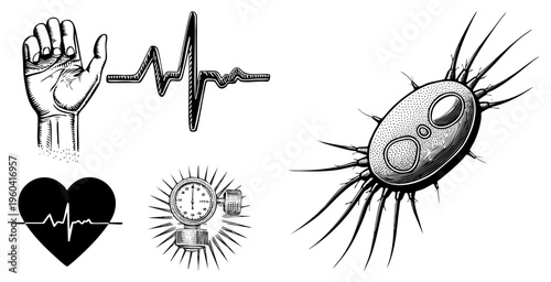 Hand with pulse, heart with EKG, bacterium with, pressure gauge, medical illustration, health diagnostics, vector.