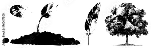 Black and white halftone vector art of sprouting plant, feather, and tree. Includes nature symbols, graphic design elements, vintage texture, and minimalist aesthetic.