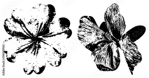 Two stylized flower illustrations rendered in halftone texture, vector art with distressed ink effect, graphic design elements, retro botanical motifs.