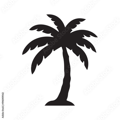 palm tree vector illustration